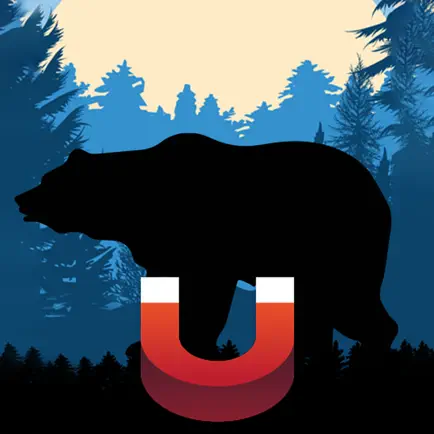 Bear Magnet - Bear Calls Читы