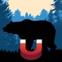 Bear Magnet - Bear Calls app download