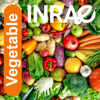 Vegetable - INRA