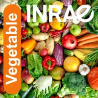 Vegetable logo