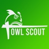 Owl Scout Brasil