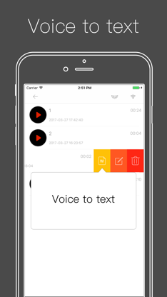 Voice Recorder ⁺ Recording screenshot 2