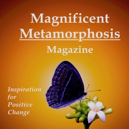 Magnificent Metamorphosis Mag