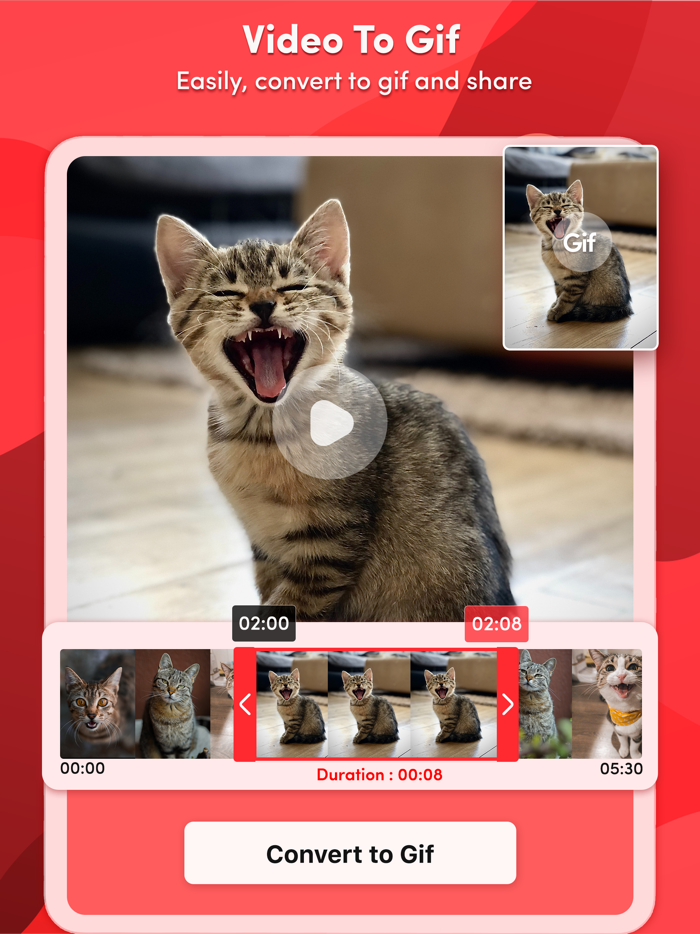 Screen Recorder Record Video