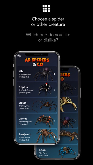 AR Spiders & Co: Scare friendsのおすすめ画像5