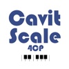 Cavit Scale 4CP
