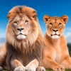 Lion Simulator - Safari Animal icon