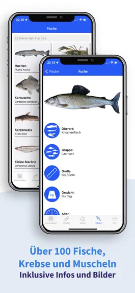 Game screenshot Fishing Plus - Die Angel App hack