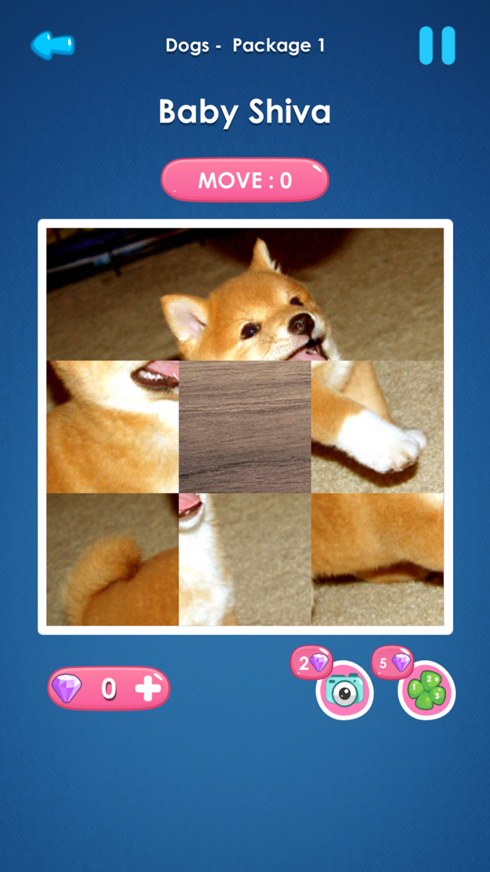 Slide Picture  Jigsaw Puzzle