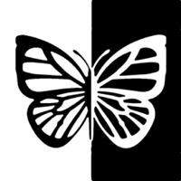 Black  White infant trainer