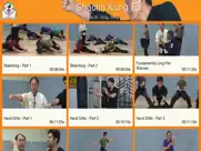 shaolin kung fu fundamental ipad images 1
