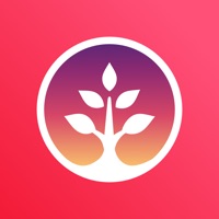 Photo Family Tree apk