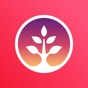 Photo Family Tree app download