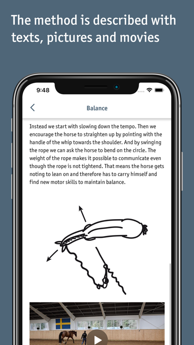 Equibodybalance Screenshot