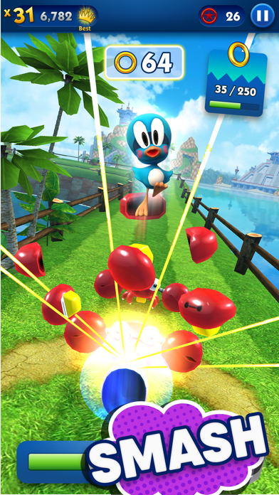 Screenshot from Sonic Dash Endless Runner Game