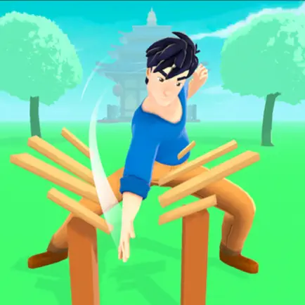 Kung Fu Max Читы