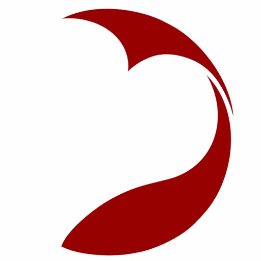 IVN - Igreja Vida Nova