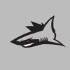 94.3 The Shark icon