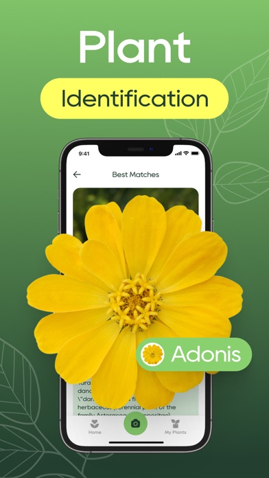 Plant Identifier: Plant Care Screenshot