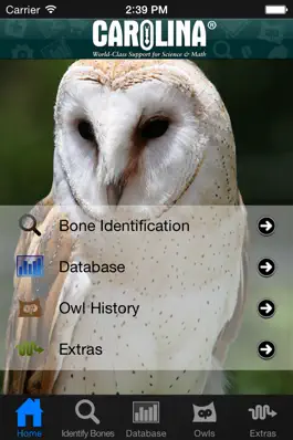 Game screenshot Owl Pellet Activities mod apk