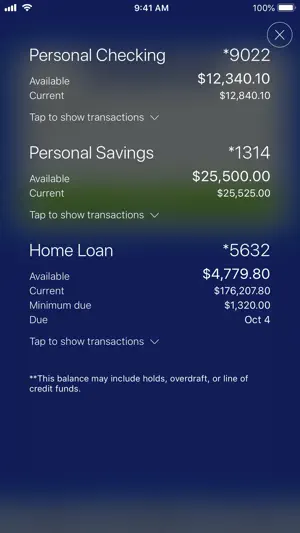 Ridgewood Savings Bank screenshot 1