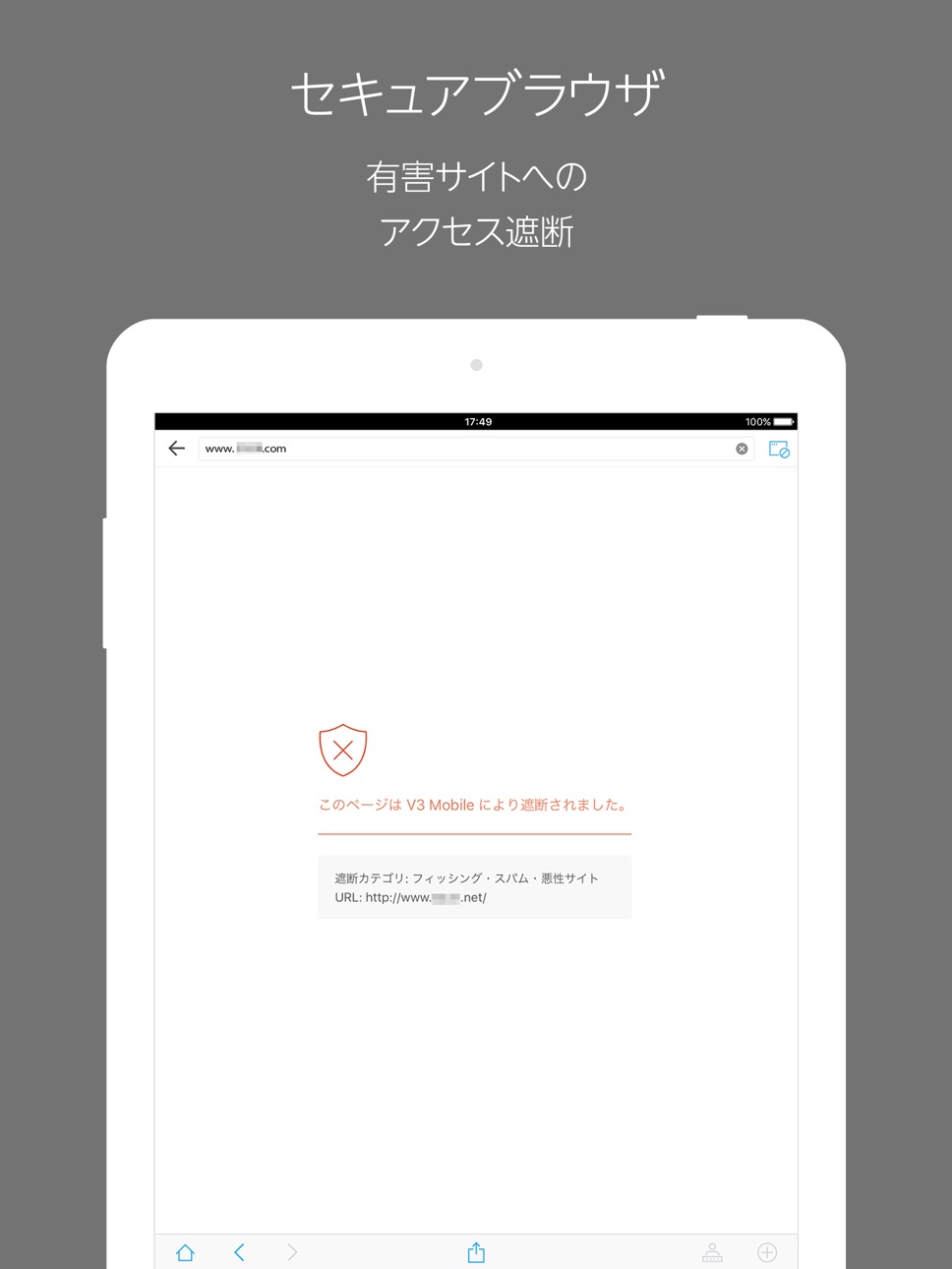 iPad screenshot