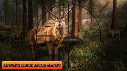 Wild Deer Forest Safari Questのおすすめ画像2