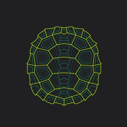 Turtle Wrapper-Screenshot