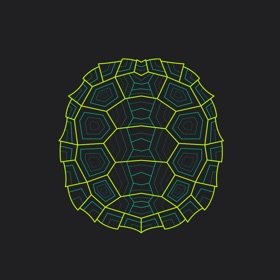 لقطات (8) Turtle Wrapper-Screenshot