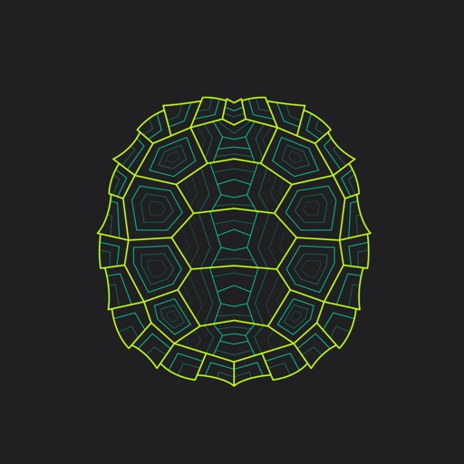 Turtle Wrapper-Screenshot