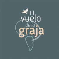 The flight of the rook