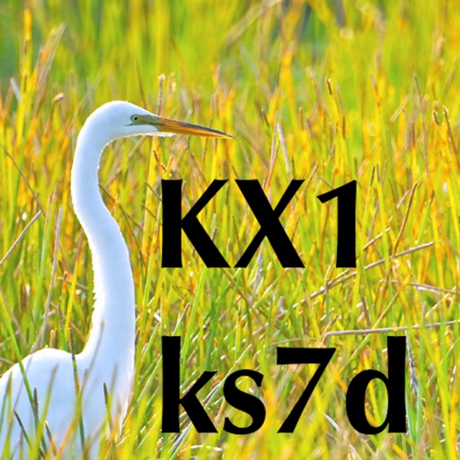KX1 Micro Manual