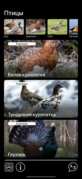 Game screenshot Манок - Птицы Европы mod apk
