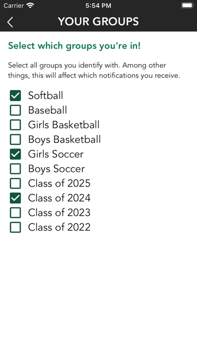 Elyria Catholic High School Screenshot