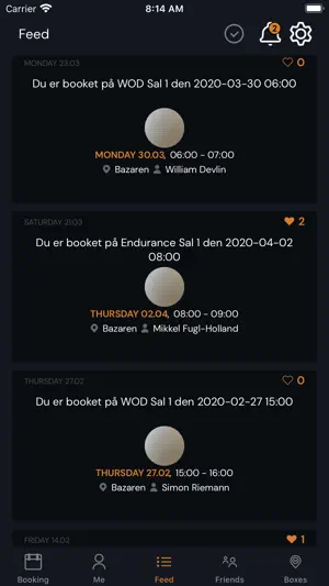 Arca Denmark screenshot 4