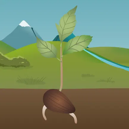 TREE Mobile Читы