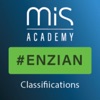 Enzian Classification | MIS icon