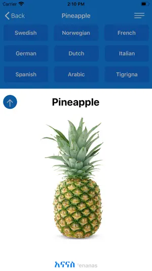Amharic: Learn 12 Languages screenshot 4