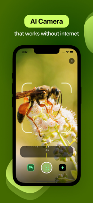 ‎Insect Identifier Screenshot