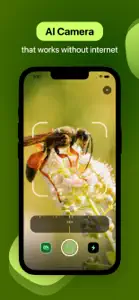 Insect Identifier screenshot #5 for iPhone