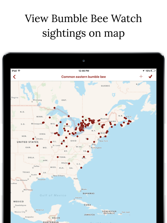 Bumble Bee Watch iPad screenshot 5 - Reference app