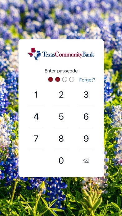 TX Community Bank Screenshot