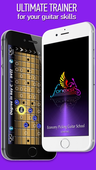 Economy Picking Guitar School Screenshot