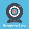 Владлинк live icon