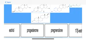 Estrogen Hormones Tutor screenshot #4 for iPhone