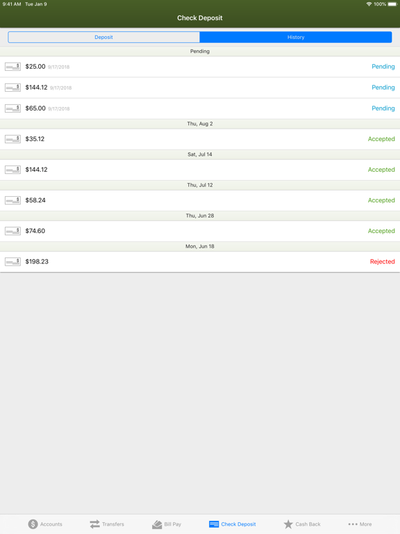 NorthCountry Mobile Banking iPad screenshot 9 - Finance app