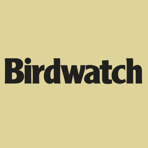 Birdwatch Magazine