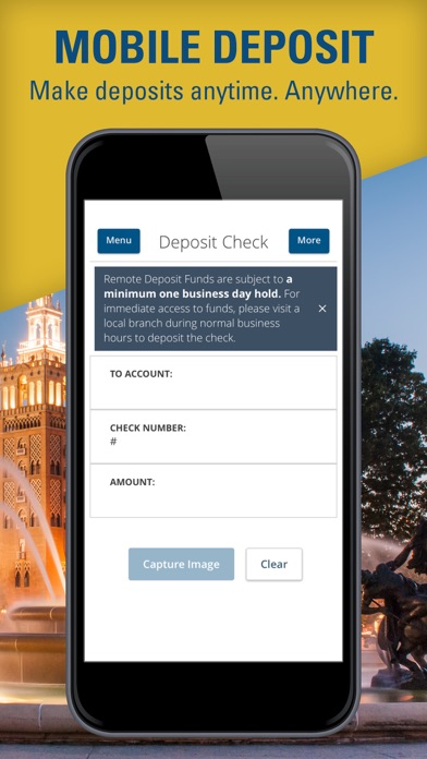 Bank of Blue Valley Screenshot