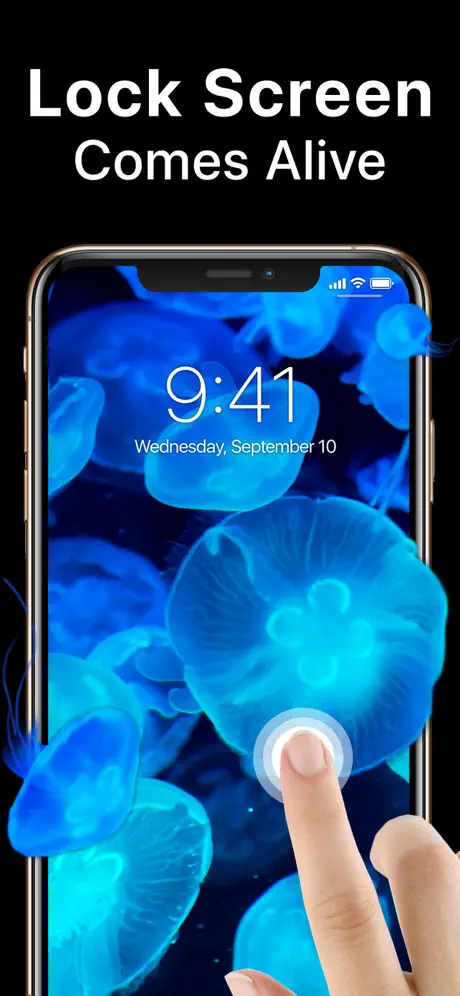 Live Wallpapers Maker 4k Theme