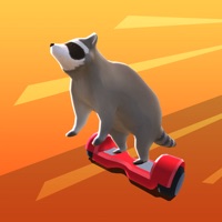 Racoon Racing 3D